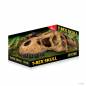 Preview: T-REX SKULL